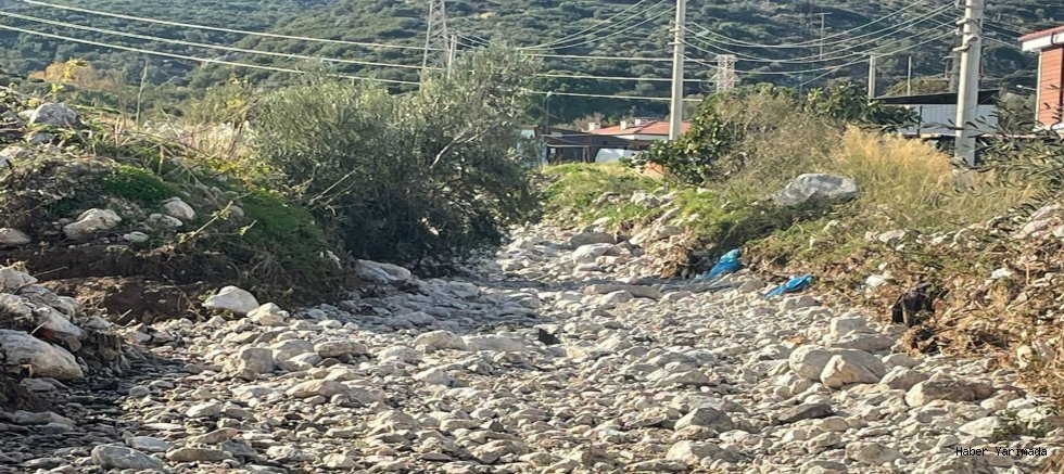 Saip'te Dere Temizliği Başlası