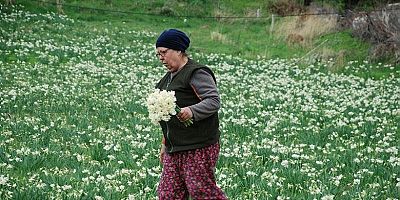 Karaburun'da Negis Zamanı