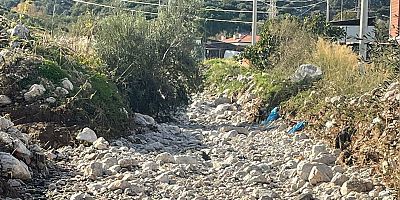 Saip'te Dere Temizliği Başlası